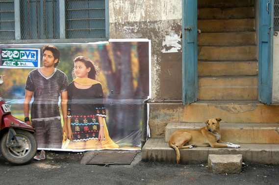 Matt Lee – Kannada Film Posters – Bengaluru