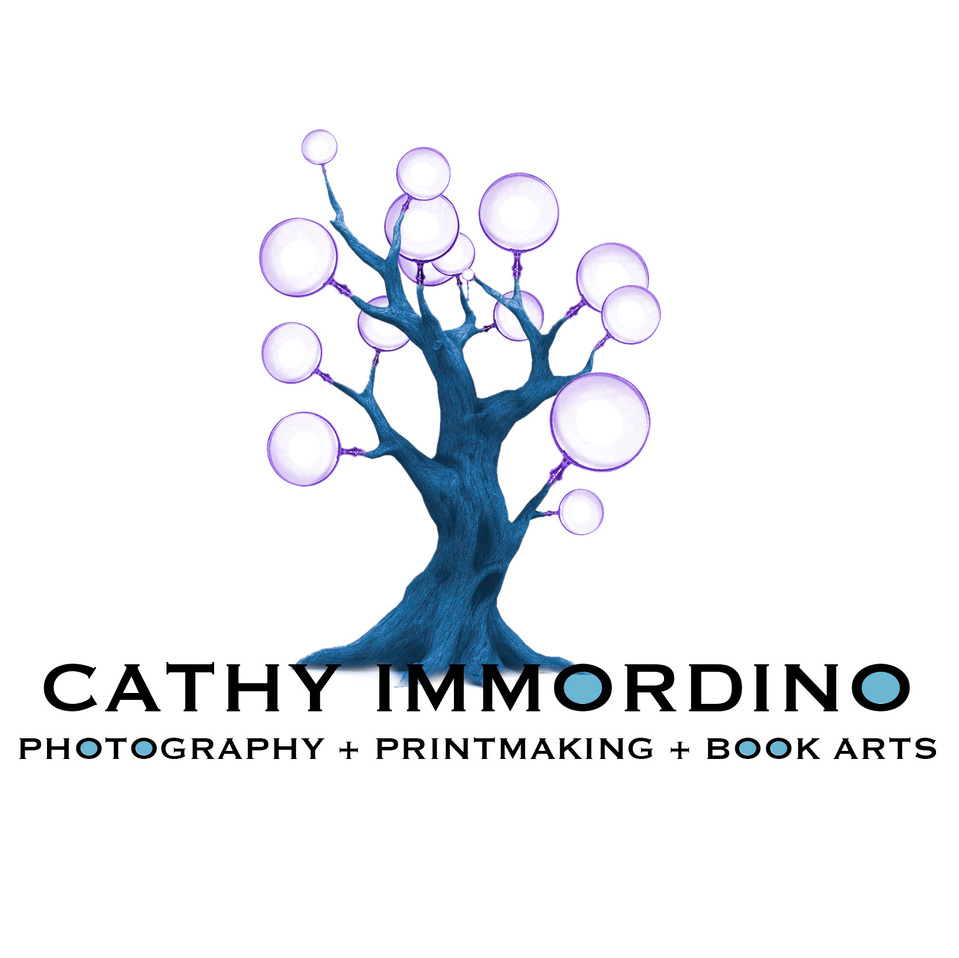 The Art of Cathy Immordino