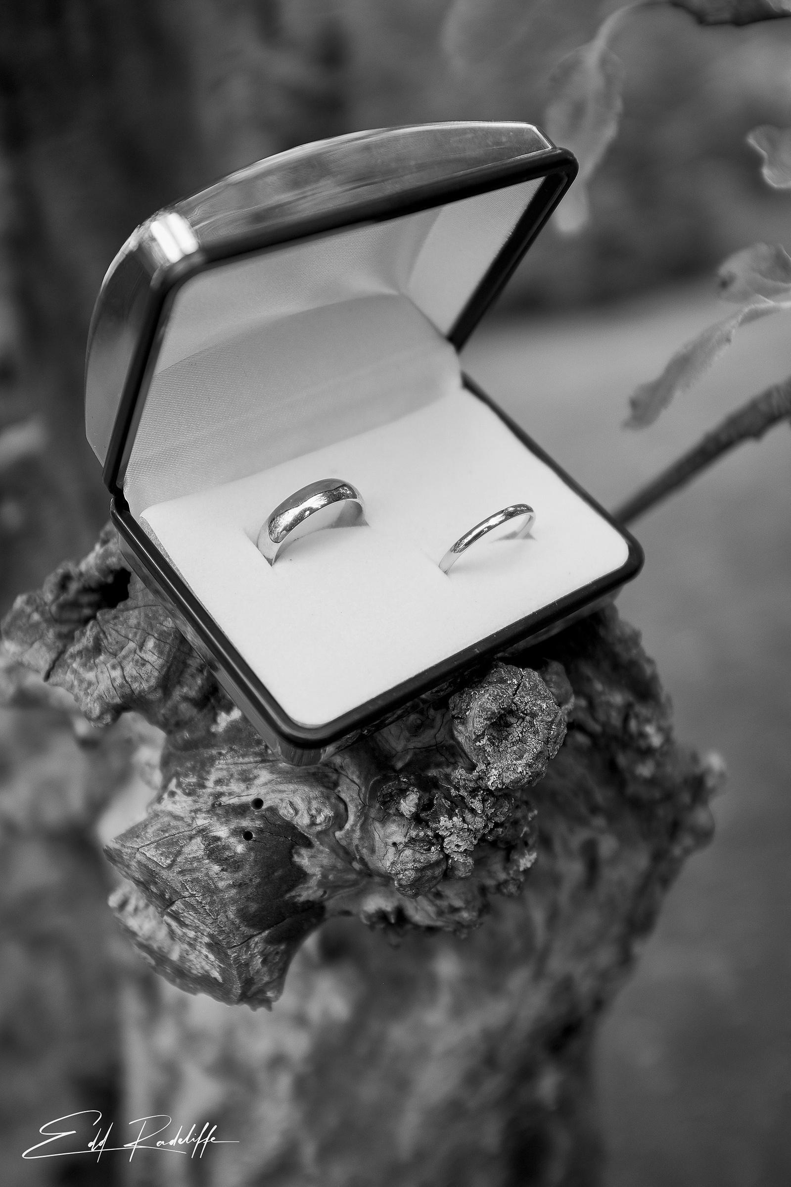 Close up of wedding rings in box at the Reid Rooms, Chelmsford for Edd Radcliffe Photography - documentary style wedding photography