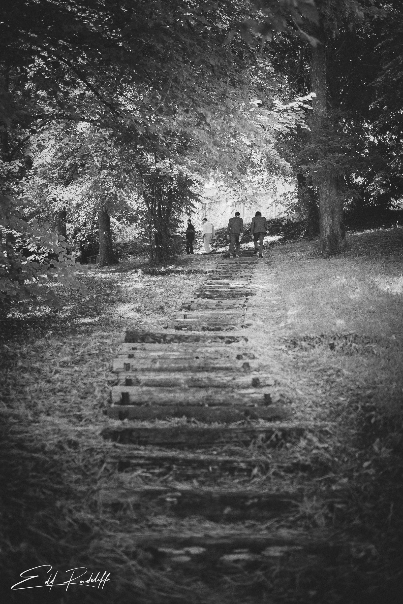 Wedding guests in distance walking through leafy glade at Hôtel de Cours de Thomazeau in Castilliones for Edd Radcliffe Photography - documentary style wedding photography