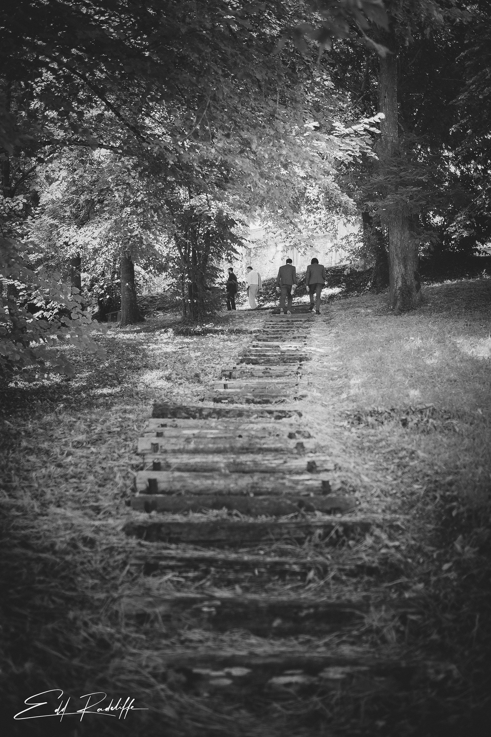 Wedding guests in distance walking through leafy glade at Hôtel de Cours de Thomazeau in Castilliones for Edd Radcliffe Photography - documentary style wedding photography