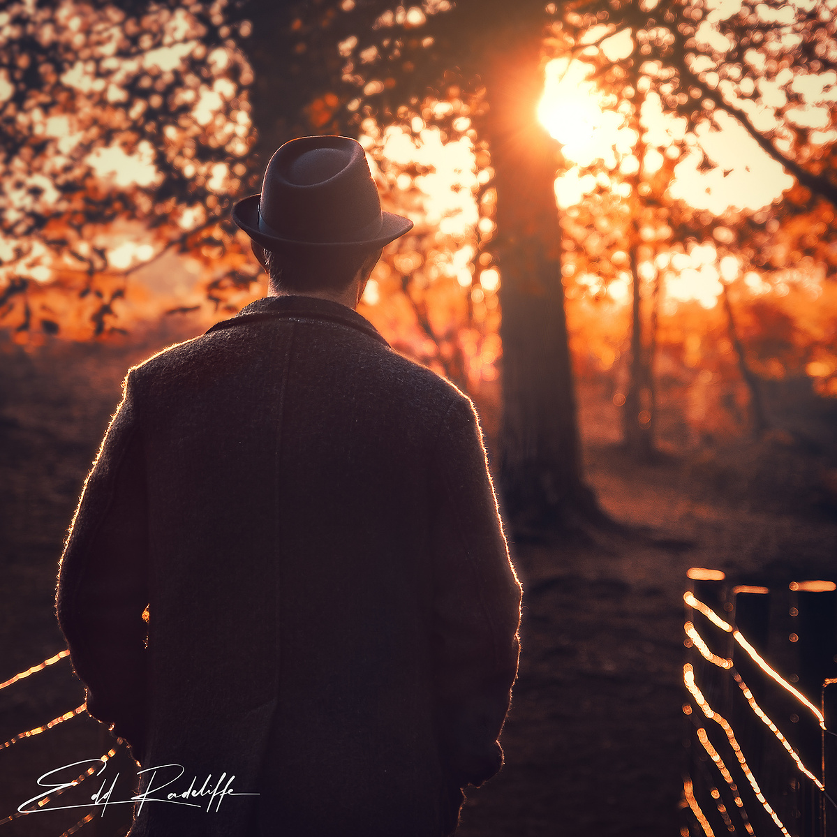 Silhouette of a man in a coat and hat walking through a wooded path at sunset, with warm golden light filtering through trees. Ideal for storytelling, autumn themes, or contemplative branding.