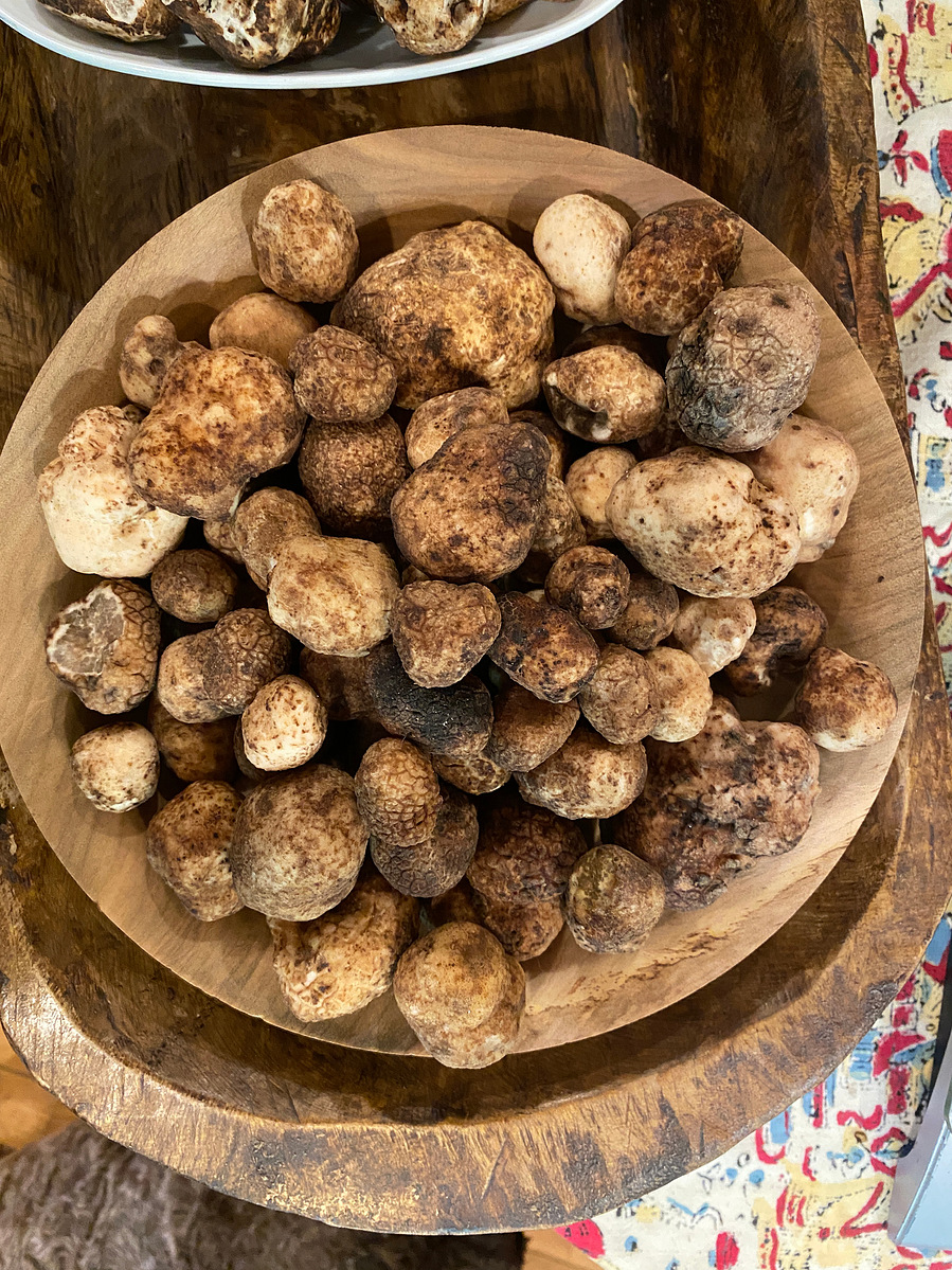dog harvested imaia gigantea blue ridge truffles Appalachian harvested