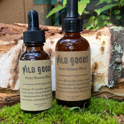 Two mushroom  tincture bottles sitting on moss in front of a sunny log