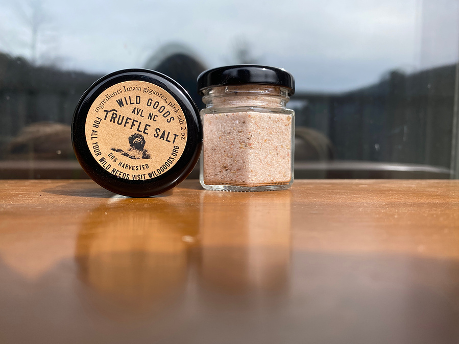 Appalachian truffle salt imaia gigantea blue ridge truffle with lagotto romangolo dog