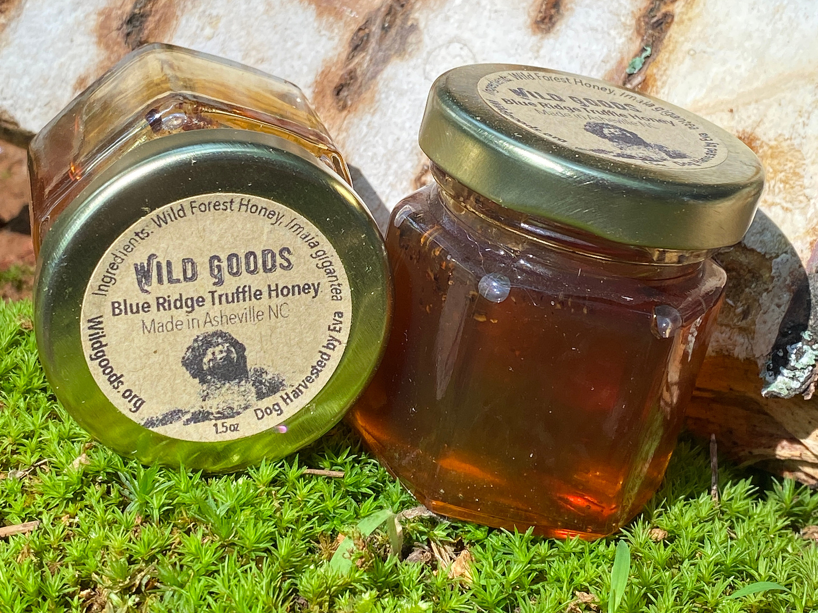 blue ridge truffle honey - Harvested by dogs and bees in the ...