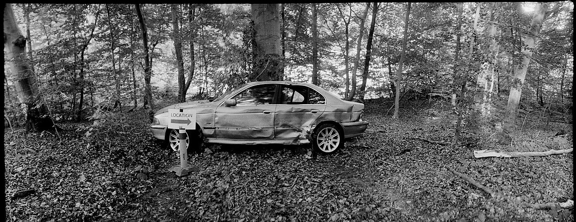 Widelux F8 / Kodak Tri-x. Oxen, 2022.