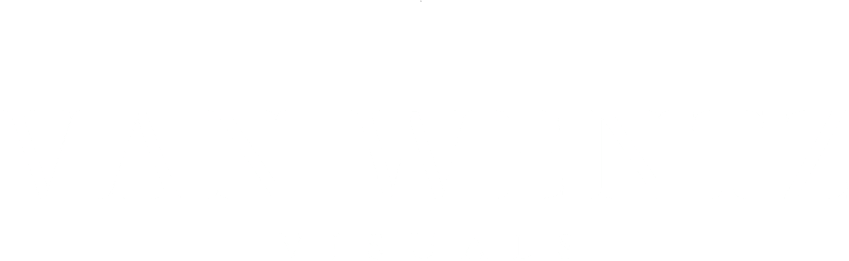 Van Wentz Visuals