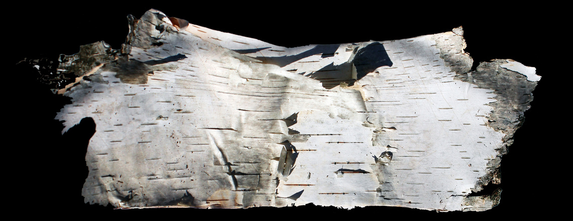 Photograph of birchbark panel