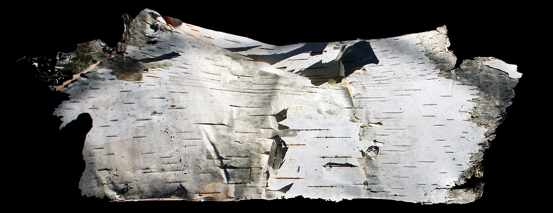 Photograph of birchbark panel