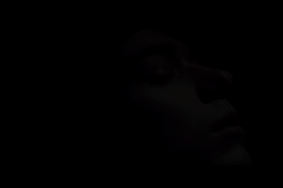 SIGNAL (2020)