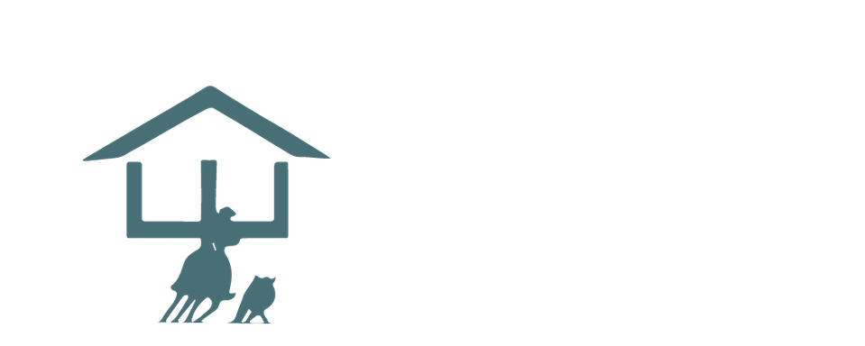 Rafter Lazy E Quarter Horses
