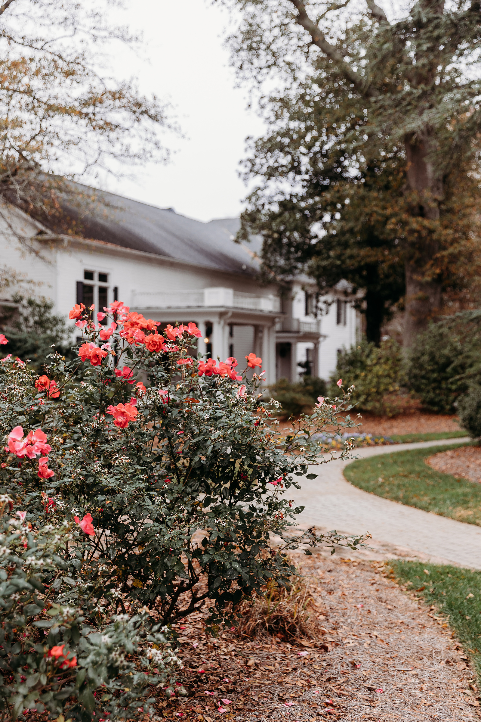 carl house in atlanta