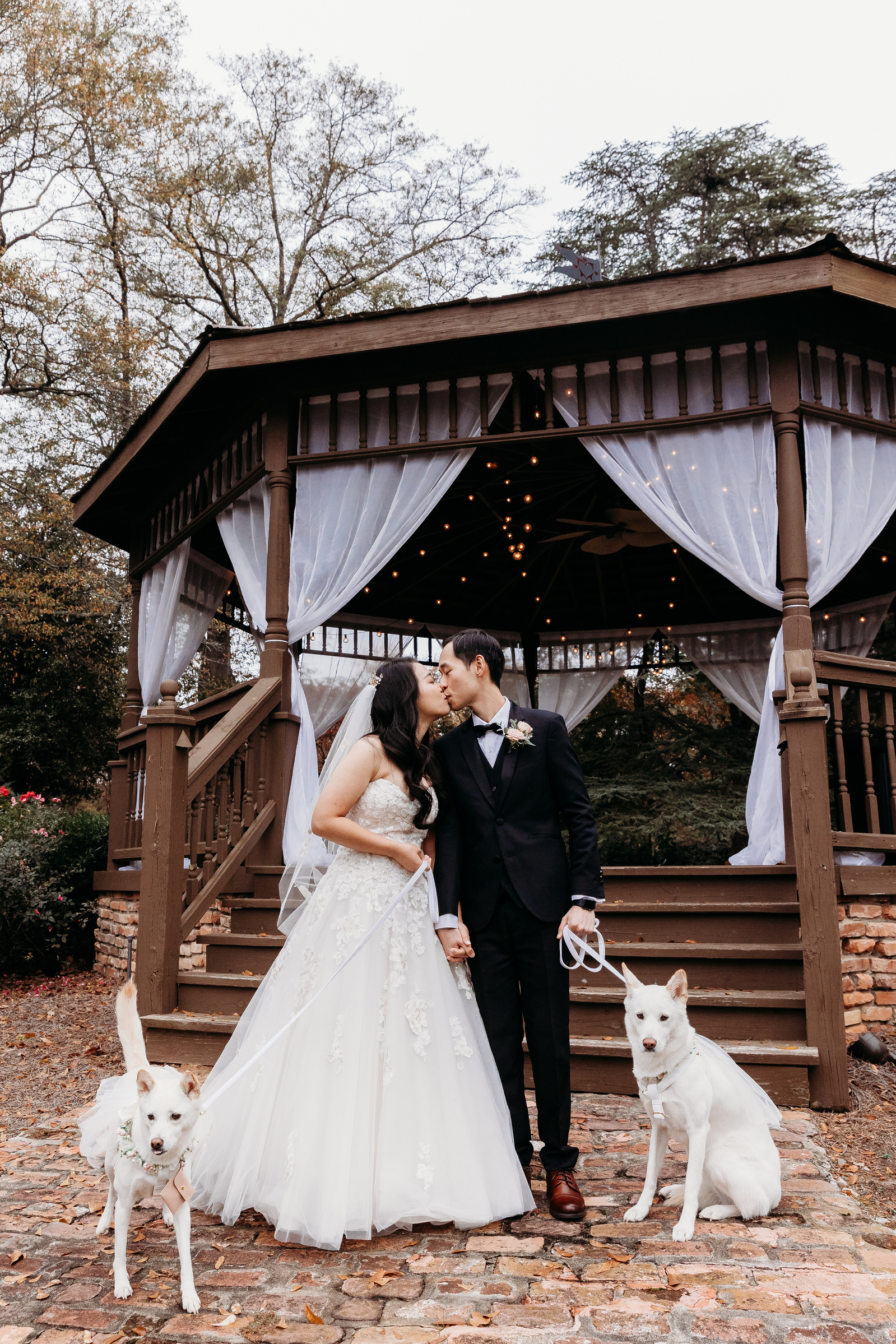 bride and groom with their dogs on wedding day