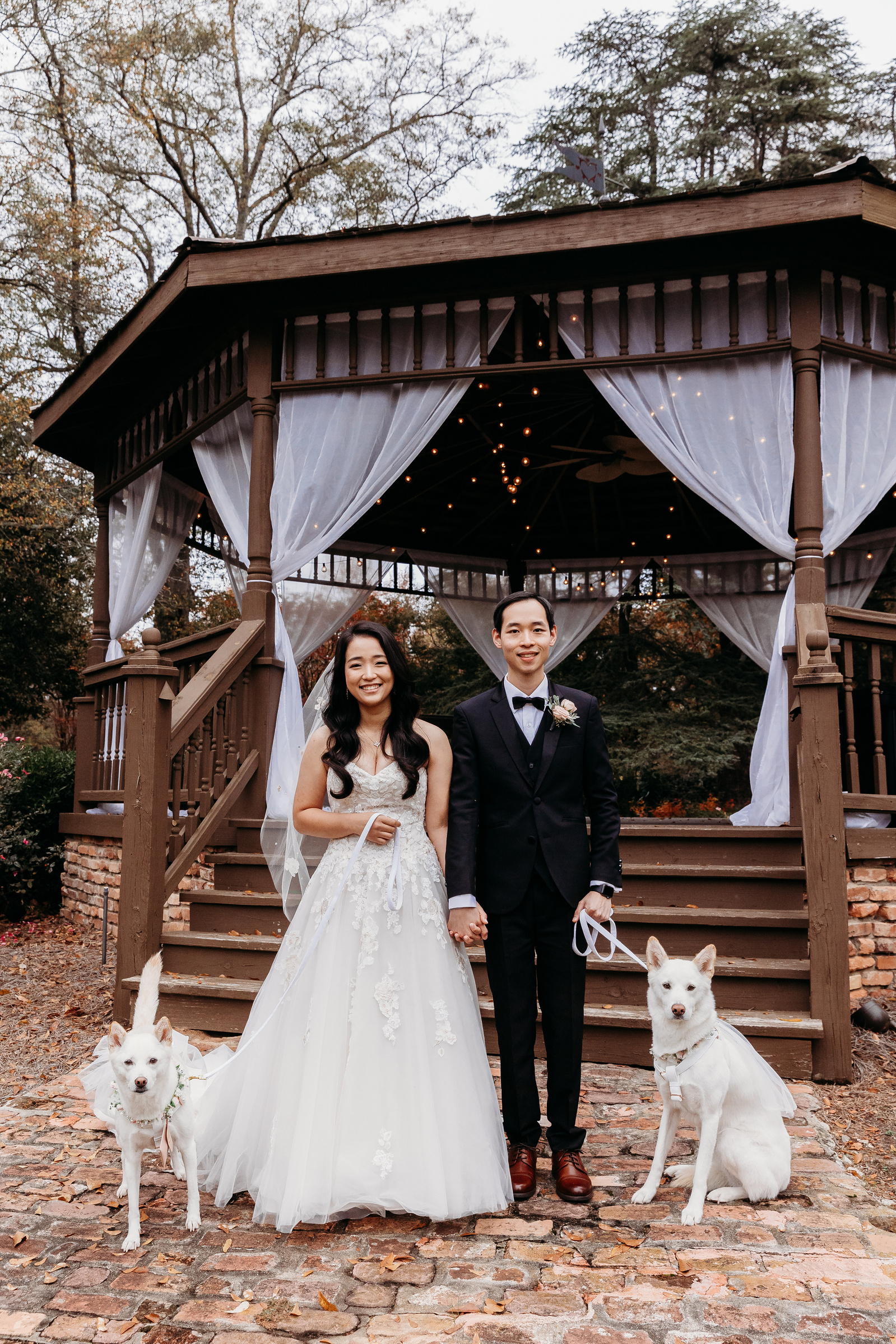 bride and groom with their korean jindo dogs