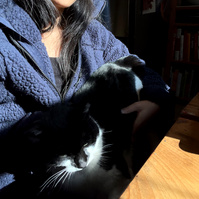 sunbathing with lizzy the cat