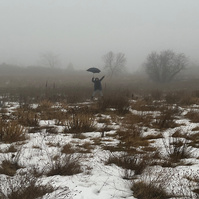 rainy, foggy day in the meadow