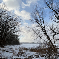 view of snowy swamp and frozen lake
