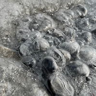 icy rocks close up
