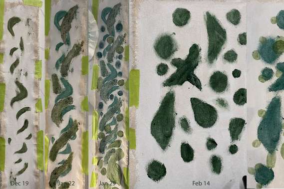 Mark making using pigments made with spirulina and linseed oil