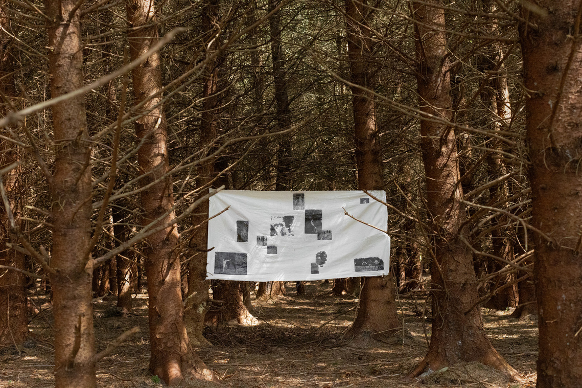 Hidden in the Forest, 2024, Canvas, Ink, River Water, Dirt.