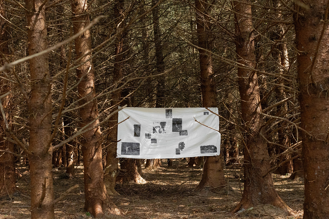Hidden in the Forest, 2024, Canvas, Ink, River Water, Dirt.