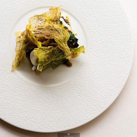 Food fotografie van gerecht van zeebaars met kool. Food photography of a seabass dish with cabbage.