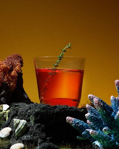 A captivating scene featuring a glass of drink strategically placed between sea plants, with one plant immersed inside the glass. Skillfully photographed by David Lineton, an expert in commercial drinks photography in London