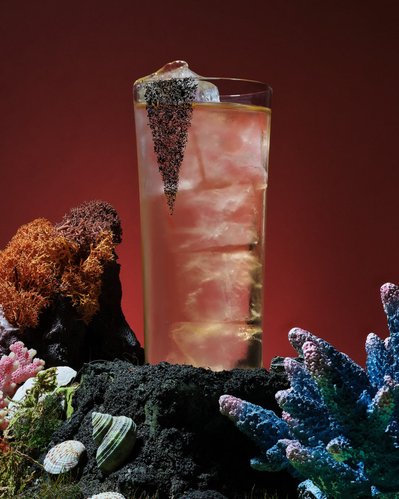 A captivating atmosphere showcasing a drink glass elegantly placed within sea plants, adorned with beautiful ice on top, featuring the delicate formation of an ice flower. Skillfully photographed by David Lineton, an expert drinks advertising photographer