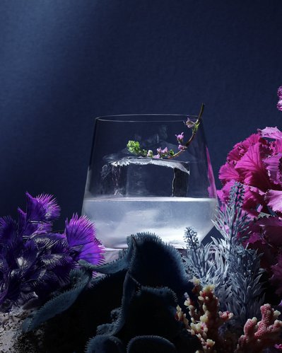 A captivating image showcasing a long-based drink placed inside sea plants, with leaves also adorning the drink glass. This enticing composition is skillfully photographed by David Lineton, an expert drinks advertising photographer in London. 