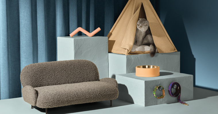 Blue hues with a furry cat peeking out of a cat basket in the shape of a tent. With the pet accessories and gifts sitting on the plinth and sofa.