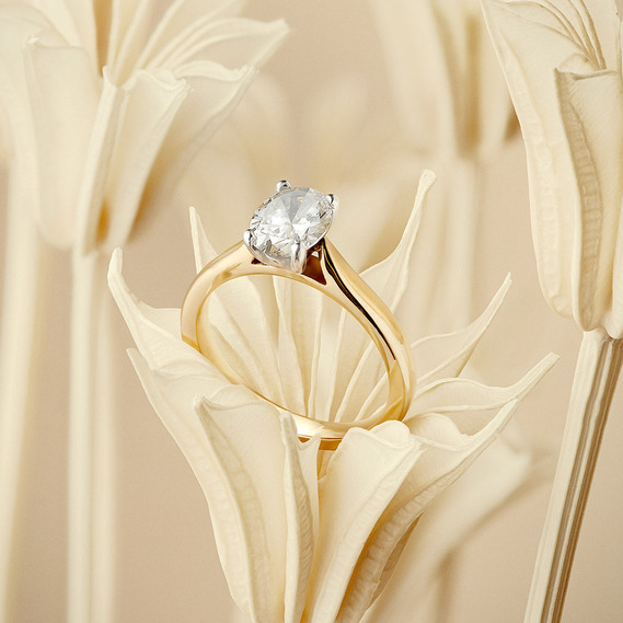 Engagement rings and single diamond solitaire oval Diamond with Yellow gold band sit in a peachy dried flower 