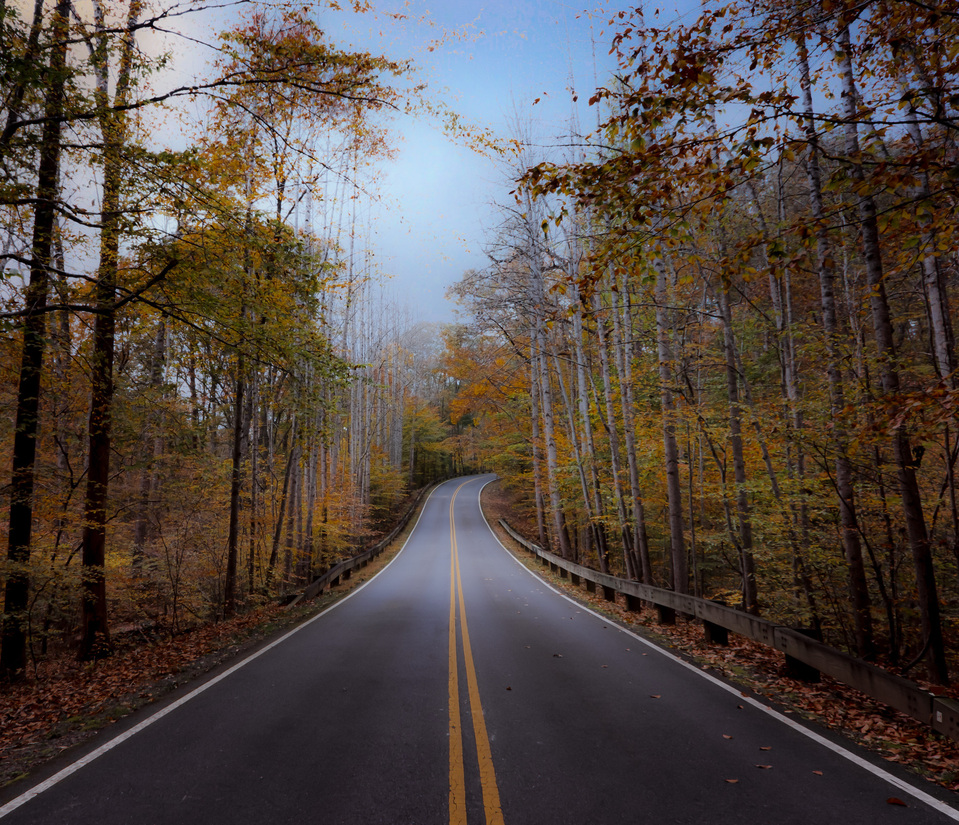 Fall landscapes and fall photo tips