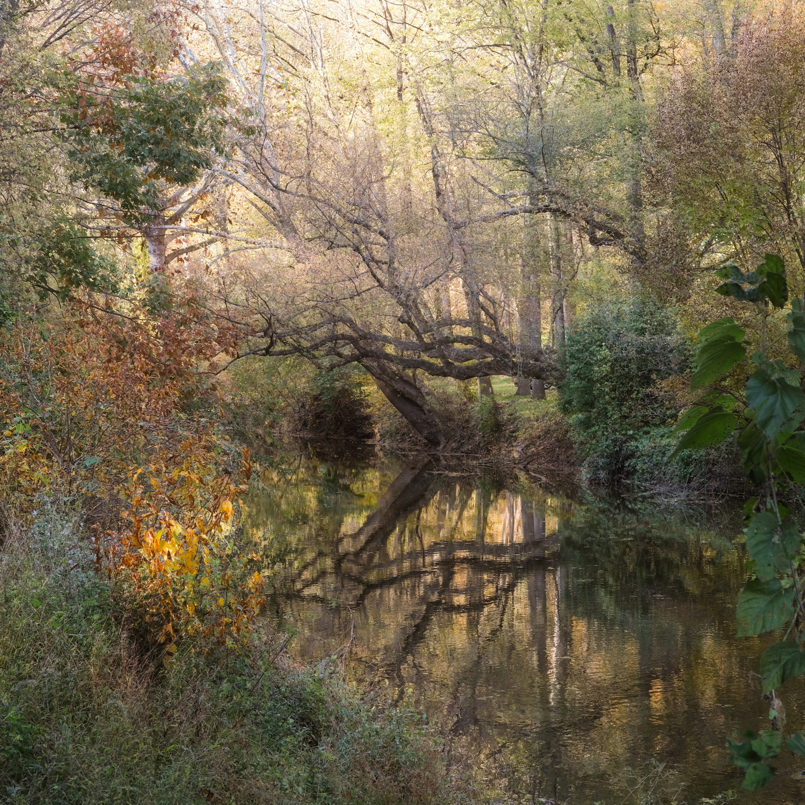 Multiple exposure image