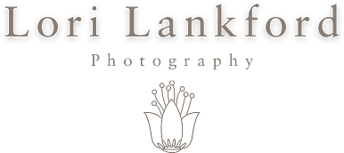Photographer, Creative Artist and Instructor