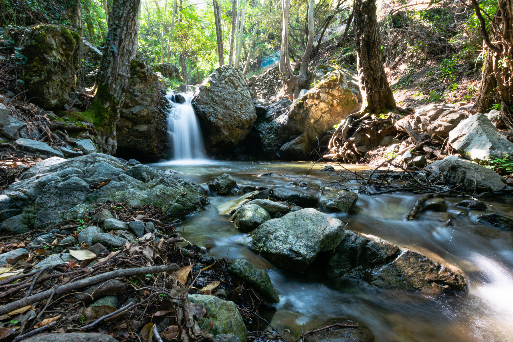 Cyprus
Creek
Water
Long exposure