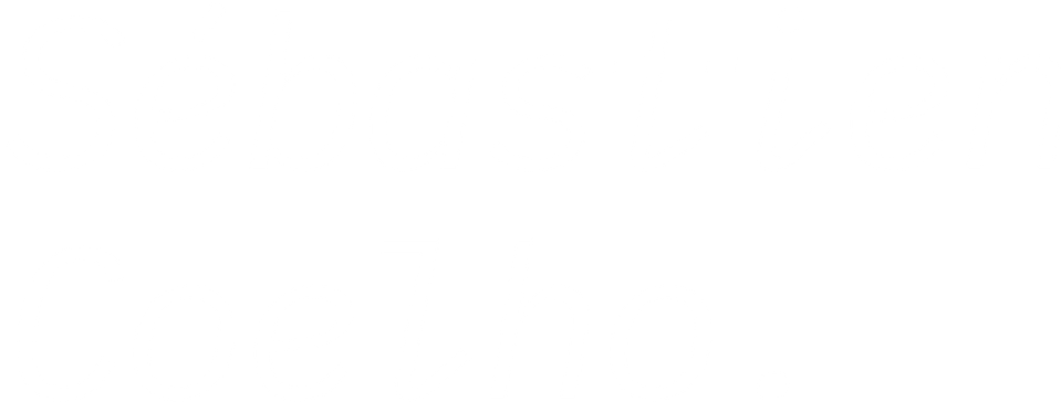 Sébastien Coelho's Portfolio