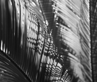 Slivers of Light