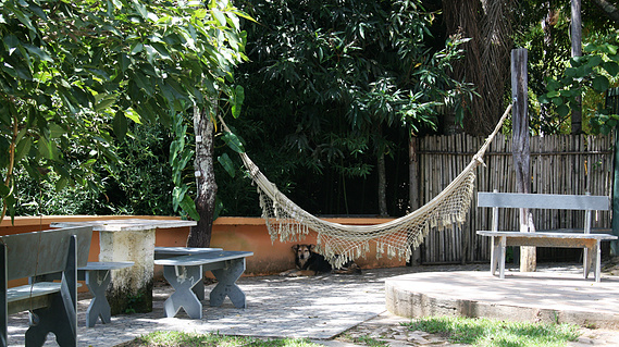 Pousada Quilombo do Mato Dentro
