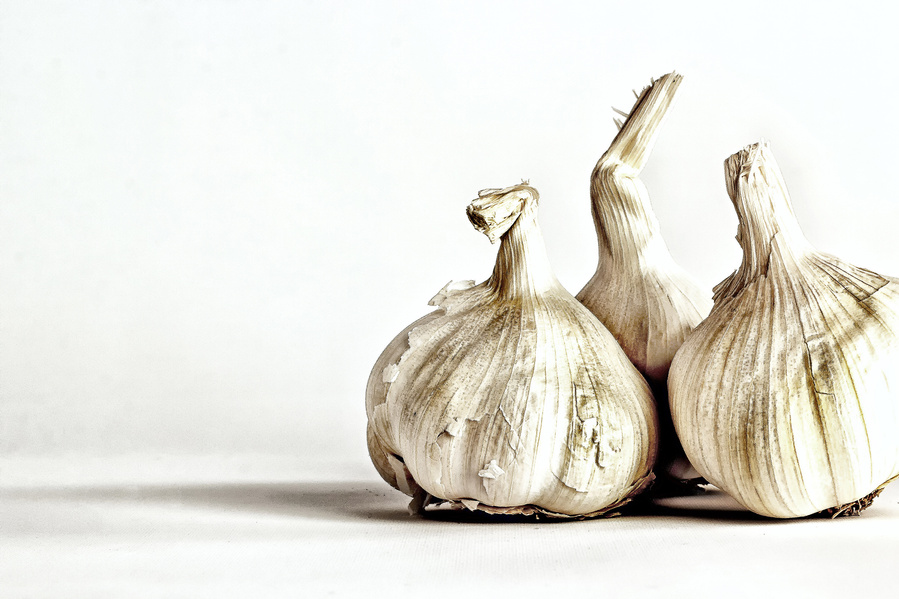 artfully photographed garlic on a minimal white background.
