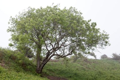 A body of photographic work by Richard Gosnold in Northern Ireland.