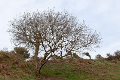 A body of photographic work by Richard Gosnold in Northern Ireland.