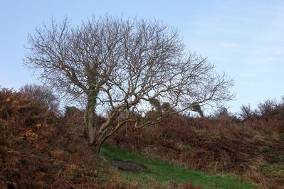 A body of photographic work by Richard Gosnold in Northern Ireland.