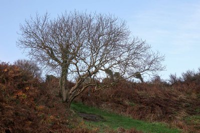 A body of photographic work by Richard Gosnold in Northern Ireland.