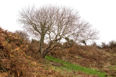 A body of photographic work by Richard Gosnold in Northern Ireland.