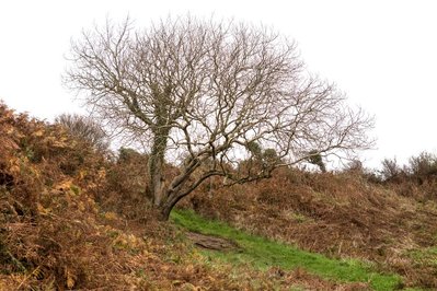 A body of photographic work by Richard Gosnold in Northern Ireland.
