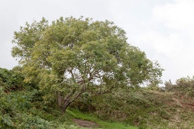A body of photographic work by Richard Gosnold in Northern Ireland.