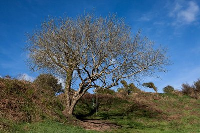 A body of photographic work by Richard Gosnold in Northern Ireland.