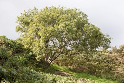 A body of photographic work by Richard Gosnold in Northern Ireland.