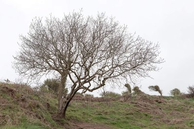 A body of photographic work by Richard Gosnold in Northern Ireland.